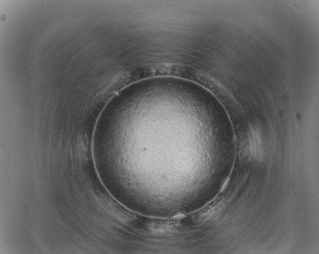 X0000062670661200512230948