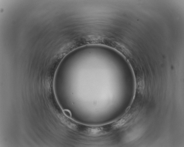 X0000062670662200512230948