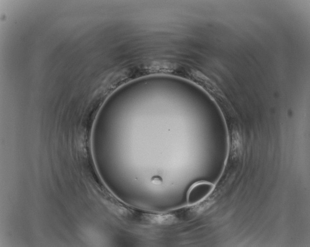 X0000062670663200512230948