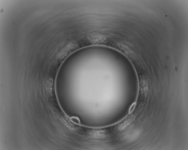 X0000062670664200512230948