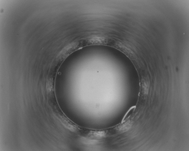 X0000062670665200512230948