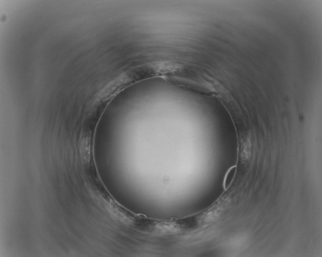 X0000062670666200512230948