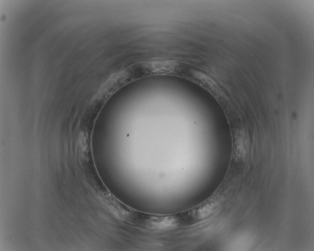 X0000062670667200512230948