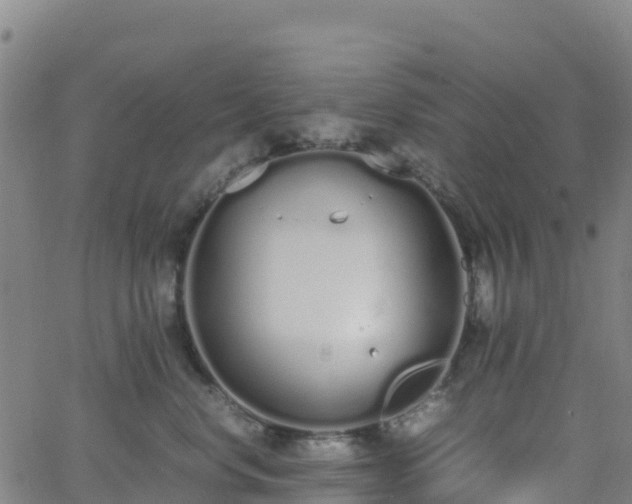 X0000062670668200512230948