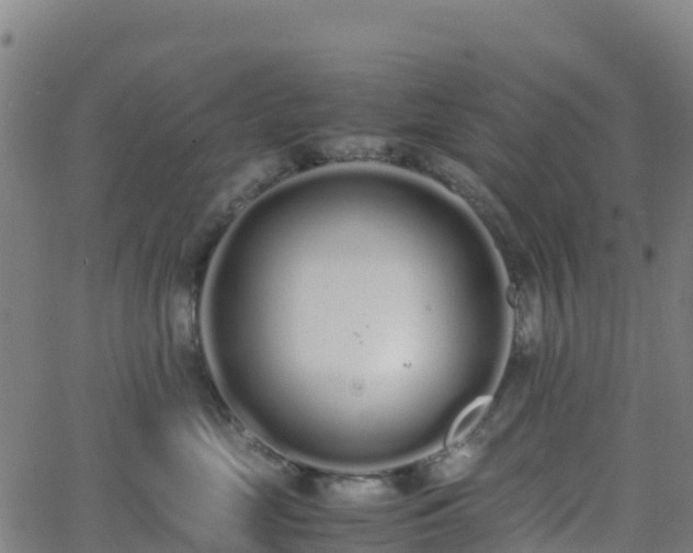 X0000062670669200512230948