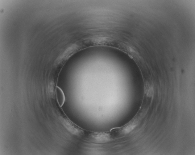 X0000062670670200512230948