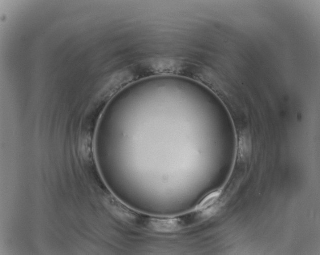 X0000062670671200512230948