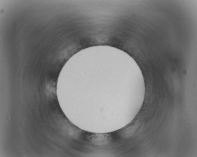 X0000062670672200512230948