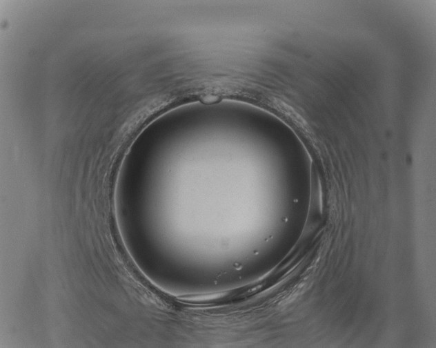 X0000062670673200512230947