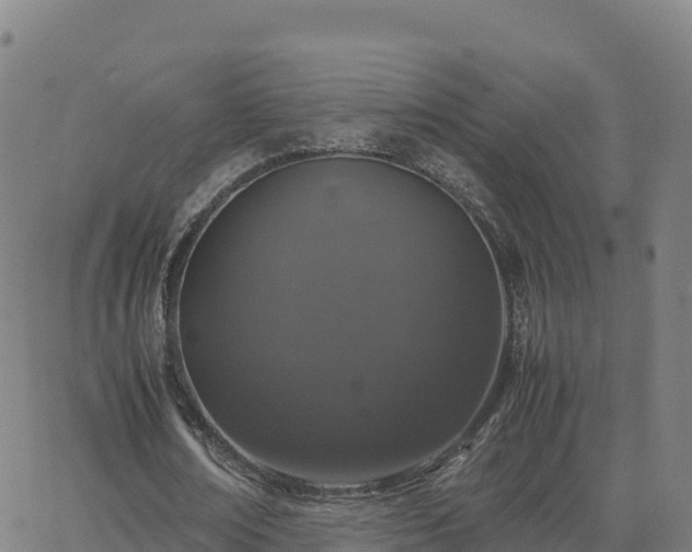 X0000062670674200512230947