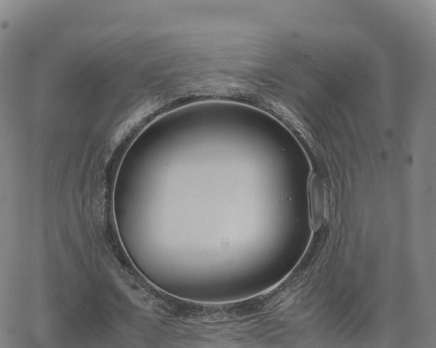 X0000062670675200512230947