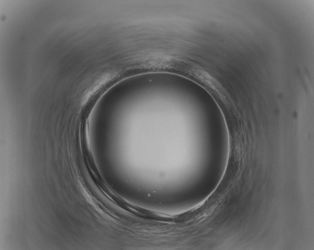 X0000062670677200512230947