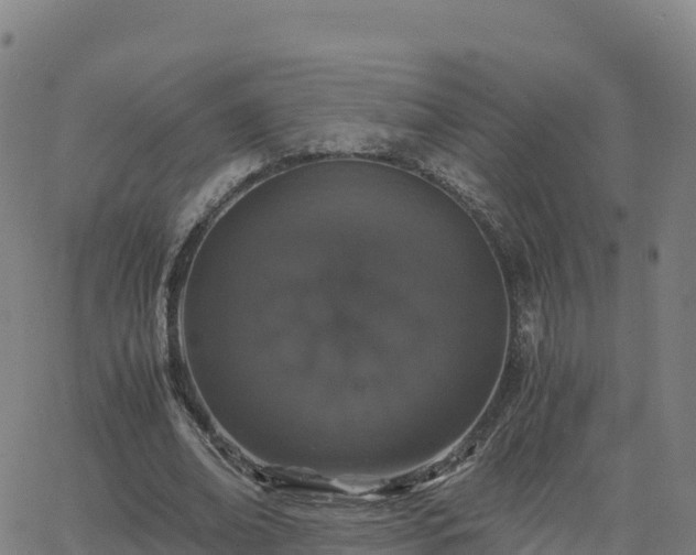 X0000062670678200512230947