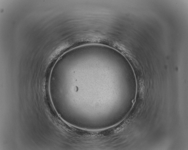 X0000062670679200512230947