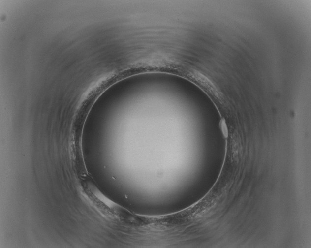 X0000062670680200512230947