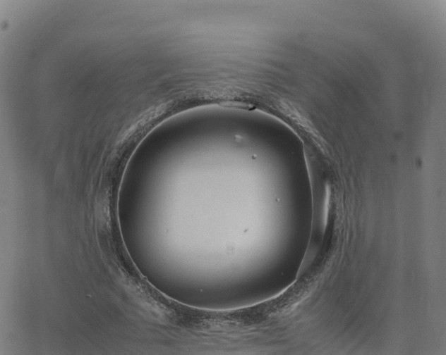 X0000062670681200512230947