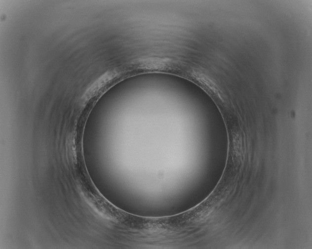 X0000062670682200512230947