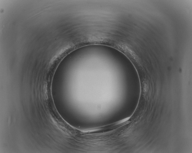 X0000062670684200512230947