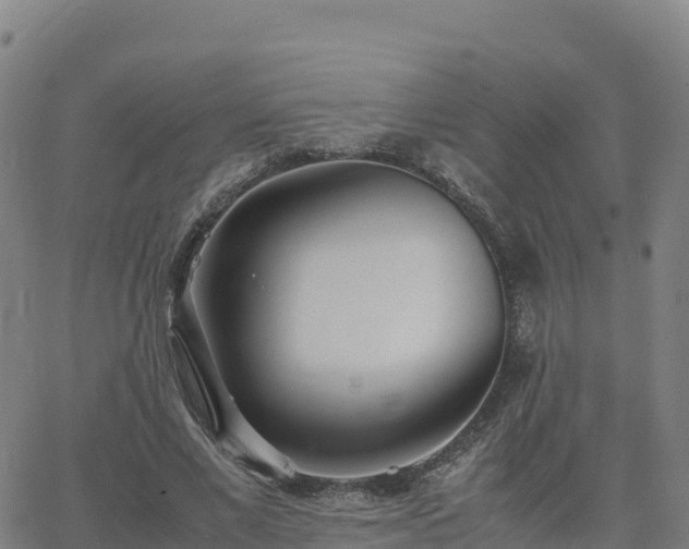 X0000062670685200512230947