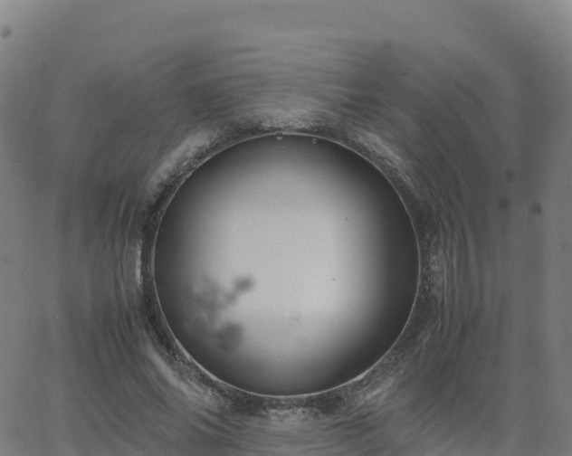 X0000062670686200512230947