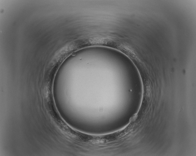 X0000062670687200512230947