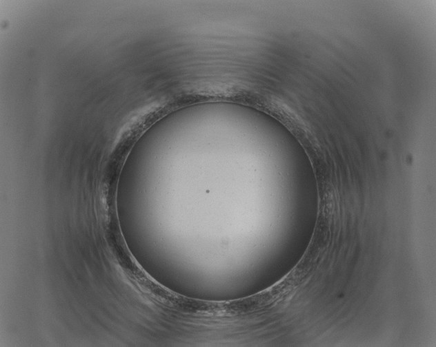 X0000062670688200512230947