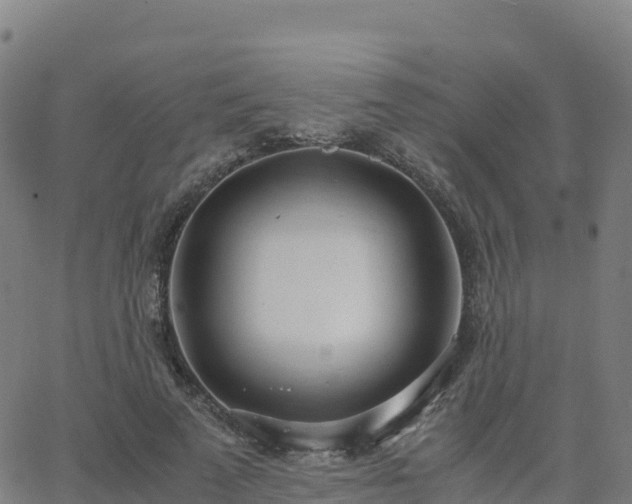 X0000062670689200512230947