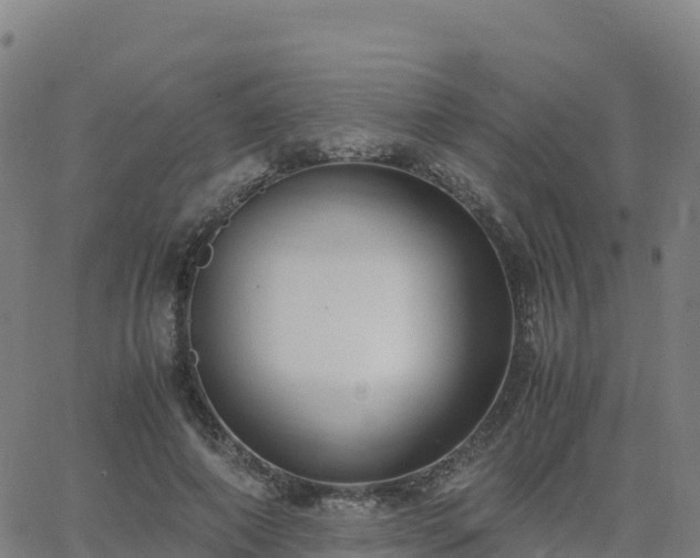 X0000062670690200512230947