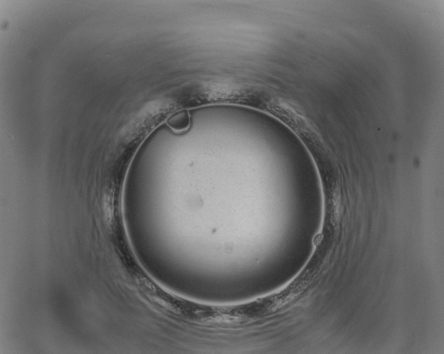 X0000062670691200512230947