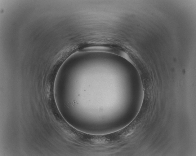 X0000062670693200512230947