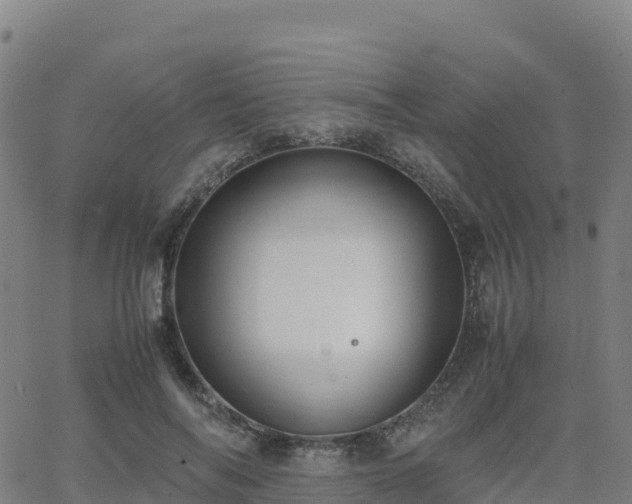 X0000062670694200512230947