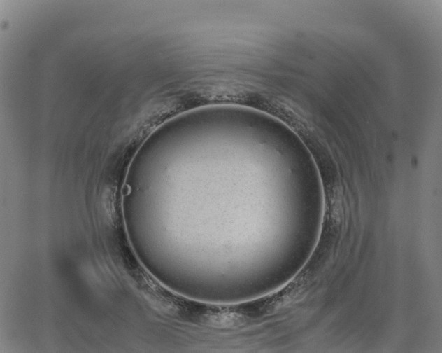 X0000062670695200512230947