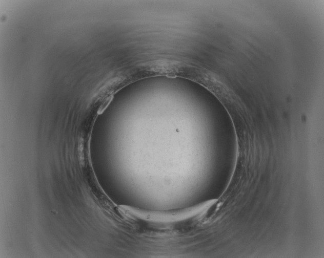 X0000062670696200512230947