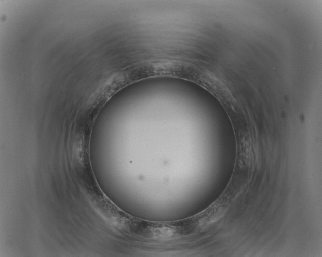 X0000062670698200512230947