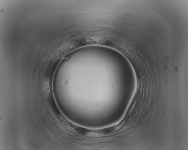 X0000062670699200512230947