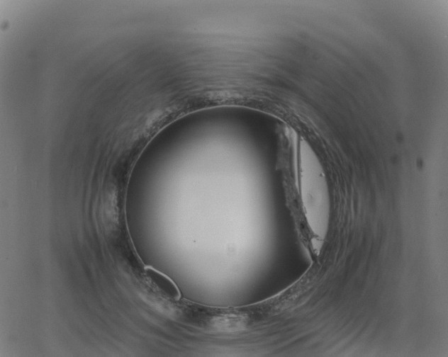 X0000062670700200512230947