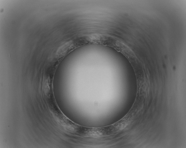 X0000062670702200512230947