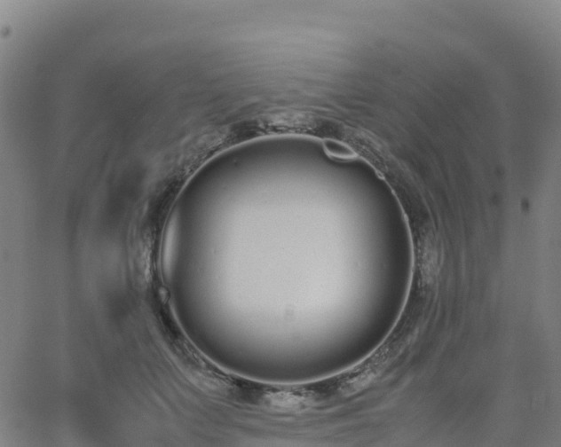 X0000062670703200512230947