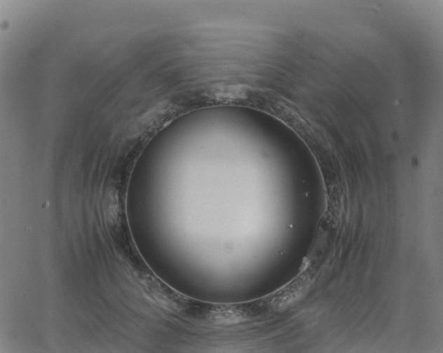 X0000062670704200512230947