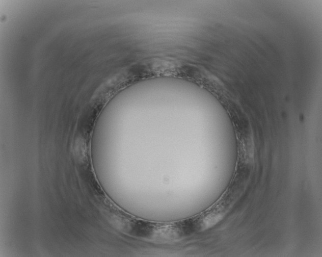 X0000062670705200512230947