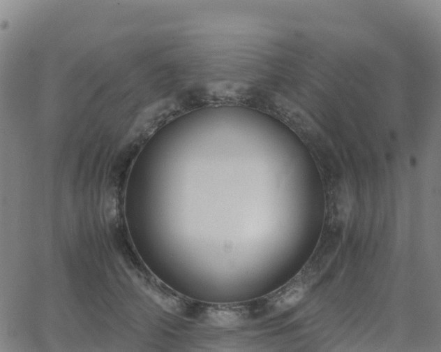 X0000062670706200512230947