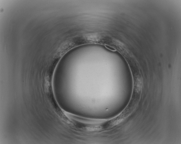 X0000062670707200512230947