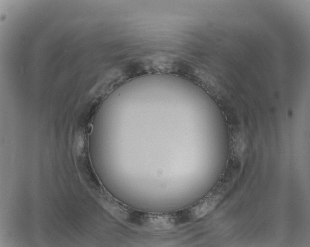 X0000062670709200512230947