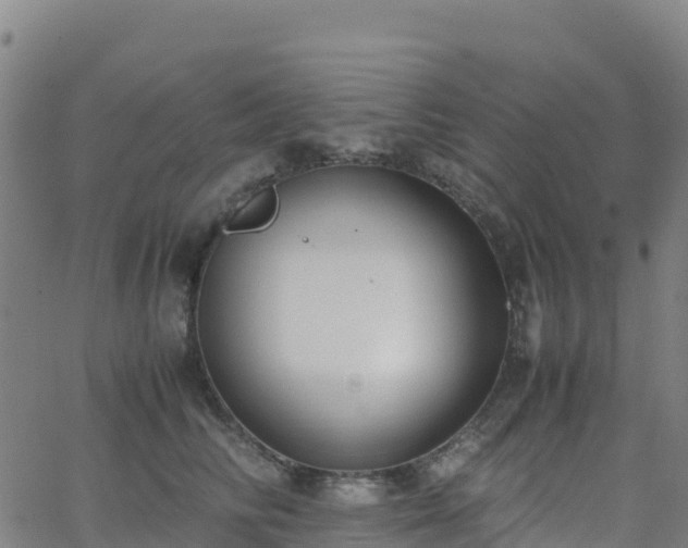 X0000062670710200512230947