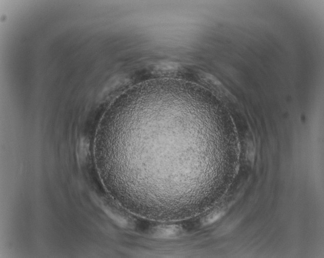 X0000062670711200512230947