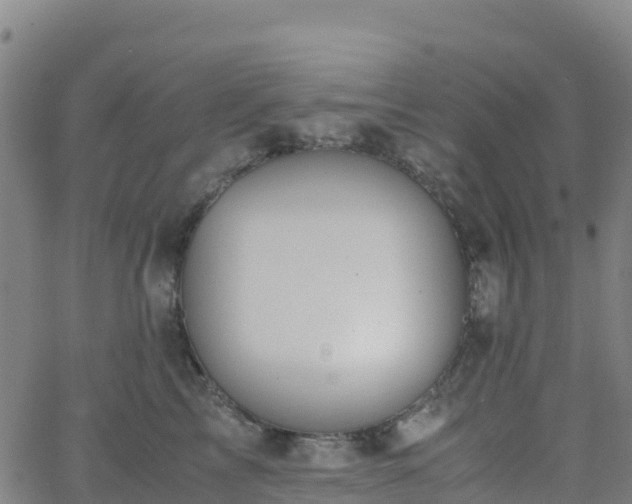 X0000062670713200512230947