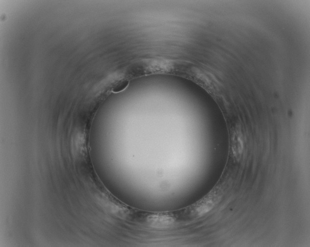 X0000062670714200512230947