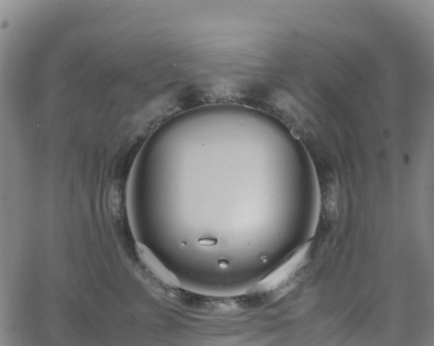 X0000062670715200512230947