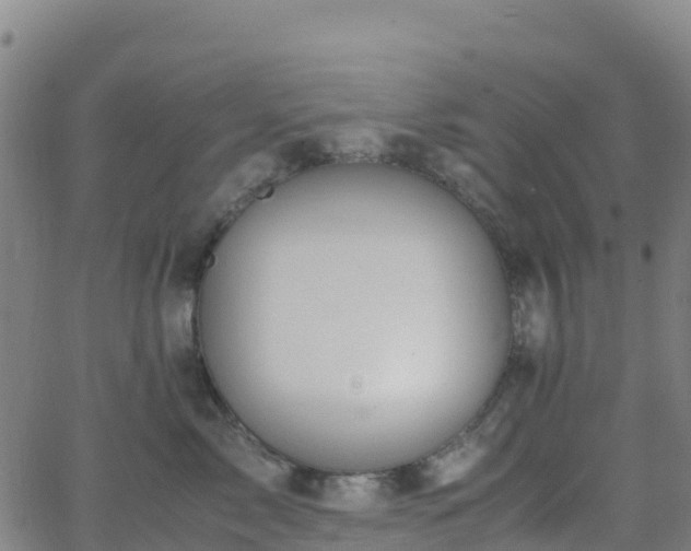 X0000062670717200512230947