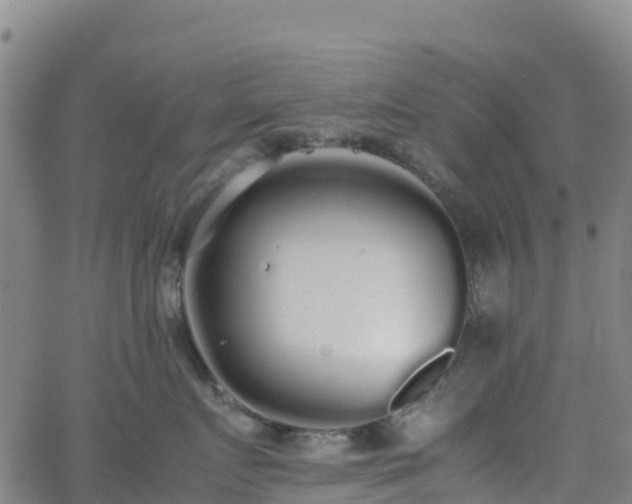 X0000062670719200512230947